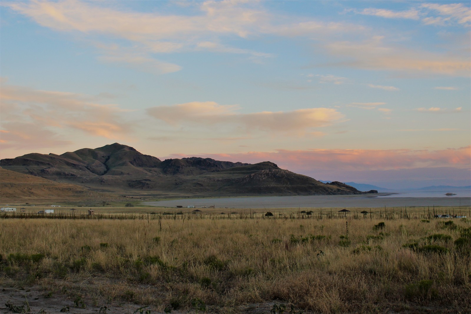 about-layton-dcc-dcc